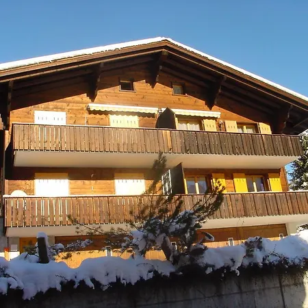 Chrinnengletscher Appartement *