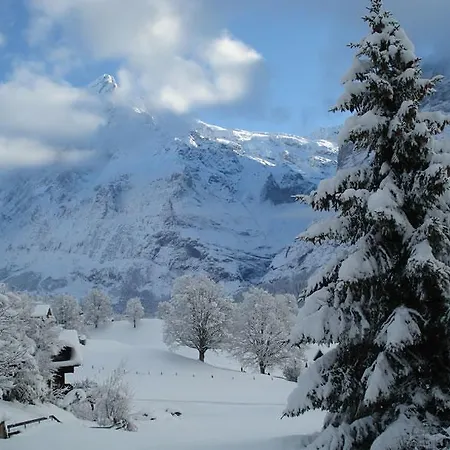 Chrinnengletscher Appartement Grindelwald