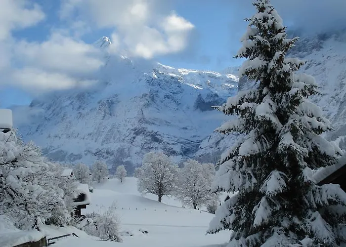 Chrinnengletscher Appartement Grindelwald