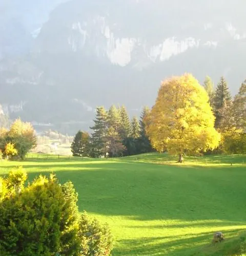 Chrinnengletscher 公寓 格林德瓦